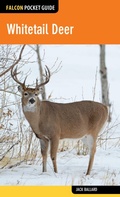 Cover: Whitetail Deer - Falcon Press Publishing