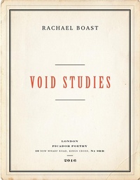 Enlarge image Cover: Void Studies - Picador