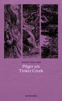 Abbildung von: Pilger am Tinker Creek - Matthes & Seitz Berlin