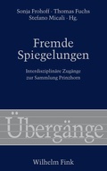 Cover: Fremde Spiegelungen - Brill Deutschland