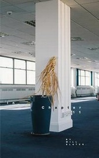 Enlarge image Cover: In Chapter 11 - Blurb
