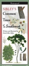 Cover: Sibley's Trees of the Southwest - Earth Sky + Water