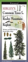Cover: Sibley's Trees of Rocky Mtn. Region - Earth Sky + Water