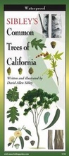 Cover: Sibley's Trees of California - Earth Sky + Water