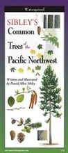 Cover: Sibley's Trees of Pacific Northwest - Earth Sky + Water