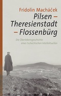 Cover: Pilsen - Theresienstadt - Flossenb&uuml;rg - Wallstein