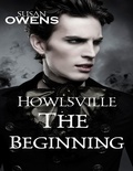 Cover: Howlsville: The Beginning - Lulu.com