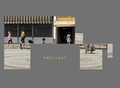 Cover: Precinct - Asynsis Publications