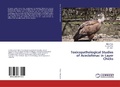 Cover: Toxicopathological Studies of Aceclofenac in Layer Chicks - LAP Lambert Academic Publishing