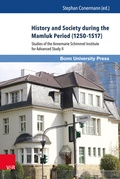Cover: History and Society during the Mamluk Period (1250-1517) - Brill Deutschland
