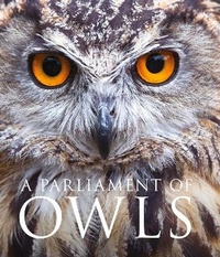 Abbildung von: A Parliament of Owls - William Collins