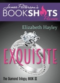 Cover: Exquisite - Bookshots