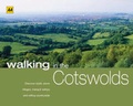 Cover: AA Walking in the Cotswolds - Automobile Association