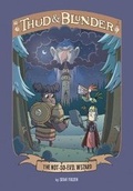 Cover: The Not-so-Evil Wizard - Raintree
