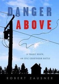 Bild: Danger Above - Camino Books