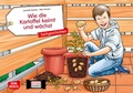Cover: Wie die Kartoffel keimt und w&auml;chst. Kamishibai Bildkartenset. - Don Bosco Medien