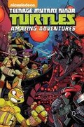 Cover: Teenage Mutant Ninja Turtles: Amazing Adventures Volume 3 - Idea & Design Works