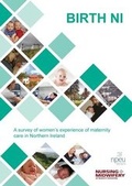 Cover: Birth NI: A Survey of Women's Experience of Maternity Care in Northern Ireland - School of Nursing and Midwifery, Queen's University Belfast