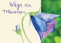 Cover: Gru&szlig;karte Glockenblume Edition Margot Bickel - Verlag am Eschbach