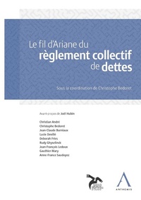 Abbildung von: Le fil d'Ariane du règlement collectif de dettes - Anthemis