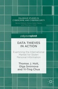 Cover: Data Thieves in Action - Palgrave MacMillan