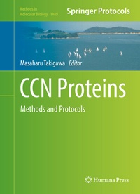 Abbildung von: CCN Proteins - Humana
