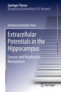Abbildung von: Extracellular Potentials in the Hippocampus - Springer