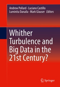 Abbildung von: Whither Turbulence and Big Data in the 21st Century? - Springer