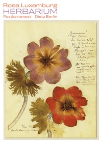 Abbildung von: Herbarium Postkartenset - Dietz