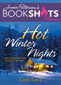 Cover: Hot Winter Nights - Bookshots