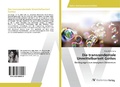 Cover: Die transzendentale Unmittelbarkeit Gottes - AV Akademikerverlag