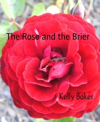 Enlarge image Cover: The Rose and the Brier - BookRix
