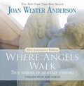 Cover: Where Angels Walk - Loyola University Press,U.S.