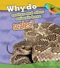 Cover: Why Do Snakes and Other Animals Have Scales? - Raintree Publishers