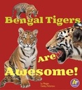 Cover: Awesome Asian Animals Pack A of 6 - Raintree