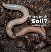 Enlarge image Cover: What's in the Soil? - Raintree