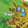 Cover: What's In There? Pack A of 4 - Raintree