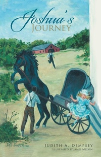 Enlarge image Cover: Joshua's Journey - Trafford Publishing