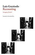 Cover: Recounting: Antagony Book I - Dalkey Archive Press