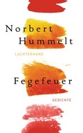 Cover: Fegefeuer - Luchterhand Literaturverlag