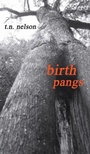 Cover: Birth Pangs - Wipf & Stock Publishers