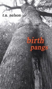 Enlarge image Cover: Birth Pangs - Wipf & Stock Publishers