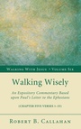 Cover: Walking Wisely - Wipf & Stock Publishers