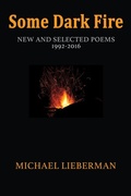Cover: Some Dark Fire - Texas Review Press