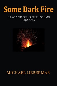 Enlarge image Cover: Some Dark Fire - Texas Review Press