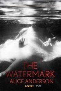 Enlarge image Cover: The Watermark - Eyewear Publishing