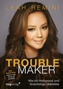 Cover: Troublemaker - mvg