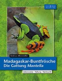 Abbildung von: Madagaskar-Buntfrösche - Natur und Tier