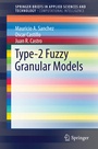 Cover: Type-2 Fuzzy Granular Models - Springer