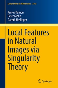 Enlarge image Cover: Local Features in Natural Images via Singularity Theory - Springer